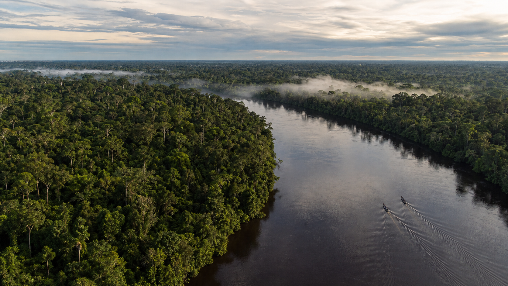 An Amazonian river winding through intact rainforest